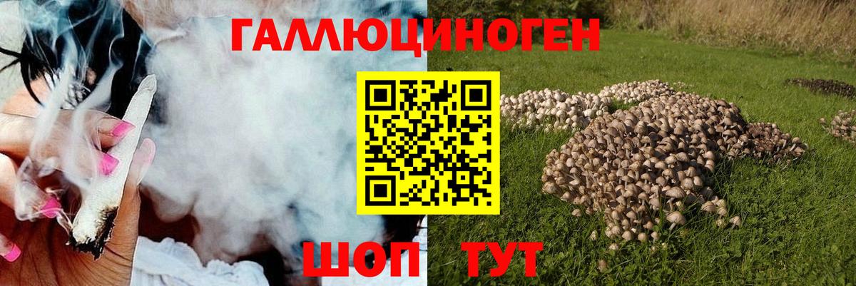 Галлюциногенные грибы прущие грибы Абакан